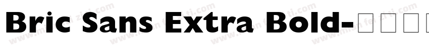 Bric Sans Extra Bold字体转换